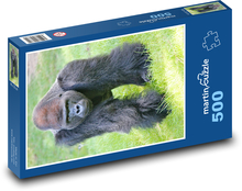 Westlicher Gorilla Puzzle 500 Teile - 46 x 30 cm