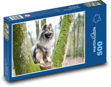 Eurasier - pies Puzzle 500 elementów - 46x30 cm