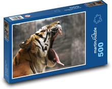 Bengálský tygr Puzzle 500 dílků - 46 x 30 cm