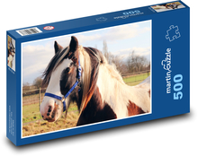 Horse in the pasture Puzzle of 500 pieces - 46 x 30 cm