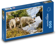 Owca - jagnięcina Puzzle 500 elementów - 46x30 cm
