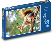 Wiewiórka Puzzle 500 elementów - 46x30 cm