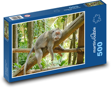 Indonesia - Bali, monkey Puzzle of 500 pieces - 46 x 30 cm 