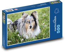 Shetland Sheepdog - Hund Puzzle 500 Teile - 46 x 30 cm