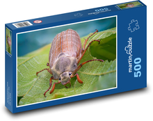 Chrząszcz - owad Puzzle 500 elementów - 46x30 cm