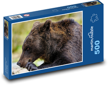 Brown bear Puzzle of 500 pieces - 46 x 30 cm 