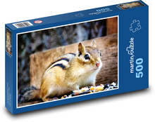 Veverička - hlodavec Puzzle 500 dielikov - 46 x 30 cm 