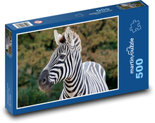 Zebra Puzzle 500 Teile - 46 x 30 cm