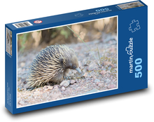 Ostnatý mravečník Puzzle 500 dílků - 46 x 30 cm