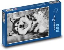 Malamute - Hund Puzzle 500 Teile - 46 x 30 cm