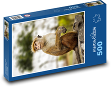 Małpa - makak Puzzle 500 elementów - 46x30 cm