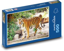 Tygr v zoo Puzzle 500 dílků - 46 x 30 cm
