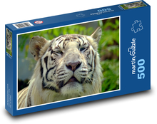 Bengálsky tiger Puzzle 500 dielikov - 46 x 30 cm 