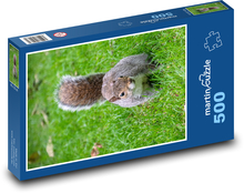 Squirrel - rodent Puzzle of 500 pieces - 46 x 30 cm 