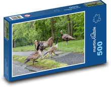 Indyk - kaczka Puzzle 500 elementów - 46x30 cm