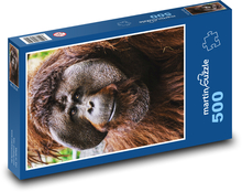 Orangutan - monkey Puzzle of 500 pieces - 46 x 30 cm 