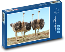 Strauß - Vogel Puzzle 500 Teile - 46 x 30 cm