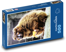 Lemur rudobřichý Puzzle 500 dílků - 46 x 30 cm