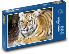 Tiger - Junges Puzzle 500 Teile - 46 x 30 cm