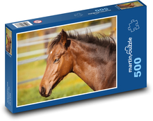 Koń - źrebak Puzzle 500 elementów - 46x30 cm