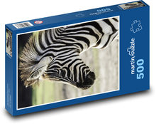 Zebra Puzzle 500 elementów - 46x30 cm