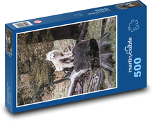 Biały wilk Puzzle 500 elementów - 46x30 cm