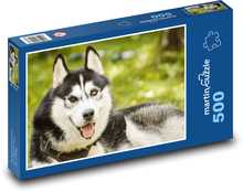 Husky - Hund Puzzle 500 Teile - 46 x 30 cm