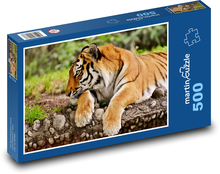Tygrys - Duży Kot Puzzle 500 elementów - 46x30 cm