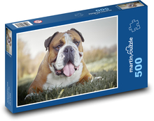 Buldok - pes Puzzle 500 dielikov - 46 x 30 cm 