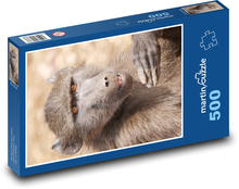 Opice - pavián Puzzle 500 dílků - 46 x 30 cm