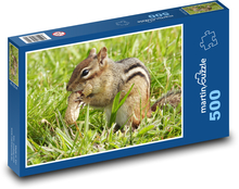 Wiewiórka - orzeszek ziemny Puzzle 500 elementów - 46x30 cm