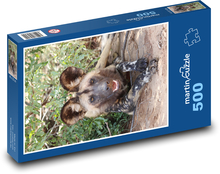 Dziki pies Puzzle 500 elementów - 46x30 cm