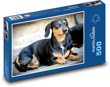 Dog - Dachshund Puzzle of 500 pieces - 46 x 30 cm 