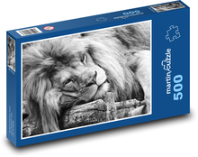 Lion - wild cat Puzzle of 500 pieces - 46 x 30 cm