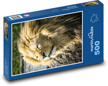 Lev - savec Puzzle 500 dílků - 46 x 30 cm