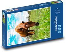 Koń - wypas Puzzle 500 elementów - 46x30 cm
