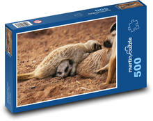 Surikaty - cicavce Puzzle 500 dielikov - 46 x 30 cm 