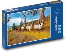 Kühe - Rinder Puzzle 500 Teile - 46 x 30 cm