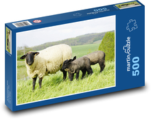Ovce Puzzle 500 dielikov - 46 x 30 cm 