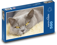 Kočka domácí Puzzle 500 dílků - 46 x 30 cm