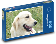Zlatý retriever - pes Puzzle 500 dílků - 46 x 30 cm