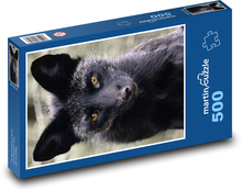 Silver fox Puzzle of 500 pieces - 46 x 30 cm 