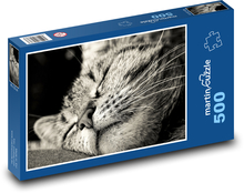 Schlafende Katze Puzzle 500 Teile - 46 x 30 cm