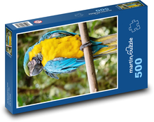 Parrot Puzzle of 500 pieces - 46 x 30 cm