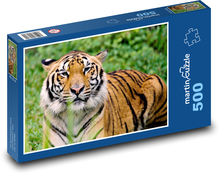 Säugetier - Tiger Puzzle 500 Teile - 46 x 30 cm