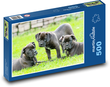 Hunde - Welpen Puzzle 500 Teile - 46 x 30 cm