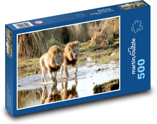 Para lwów Puzzle 500 elementów - 46x30 cm