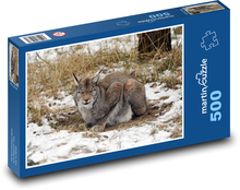 Rys - predátor Puzzle 500 dielikov - 46 x 30 cm
