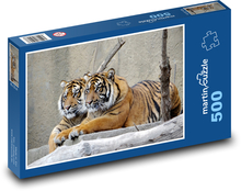 Sumatrański tygrys Puzzle 500 elementów - 46x30 cm
