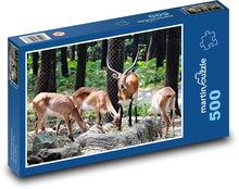 Zvířata - gazela Puzzle 500 dílků - 46 x 30 cm